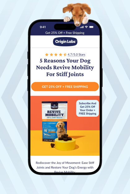 Landing page example 1